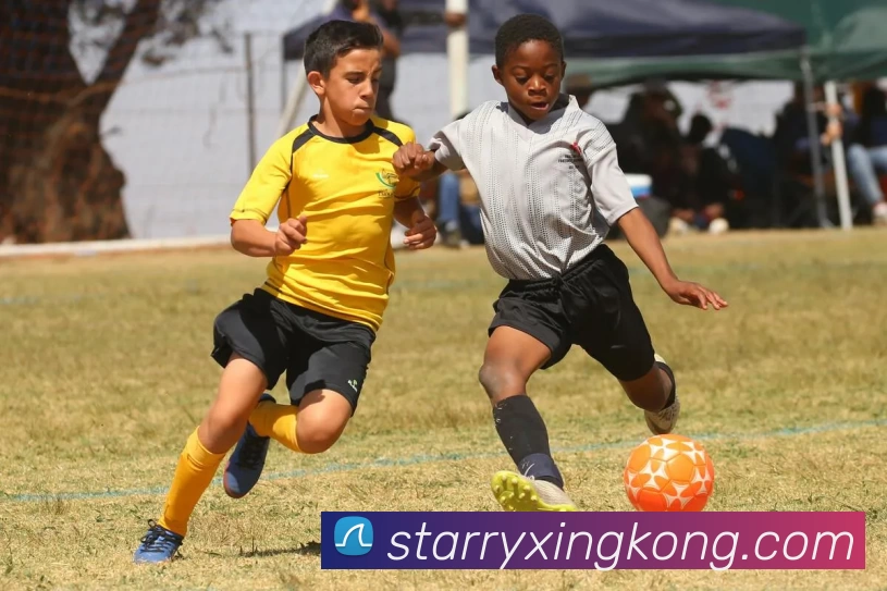 多媒体互动体验